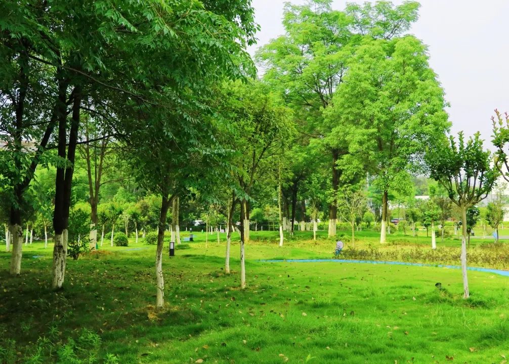 1652083086152592.jpg 5.jpg