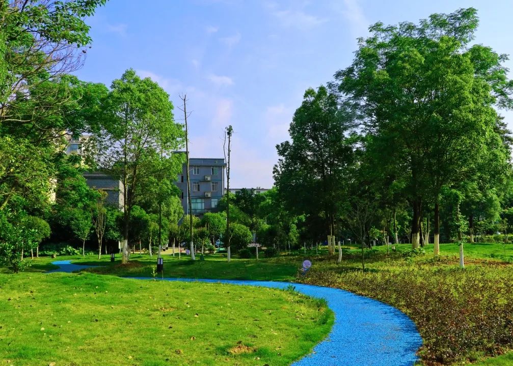 1652083091181228.jpg 6.jpg