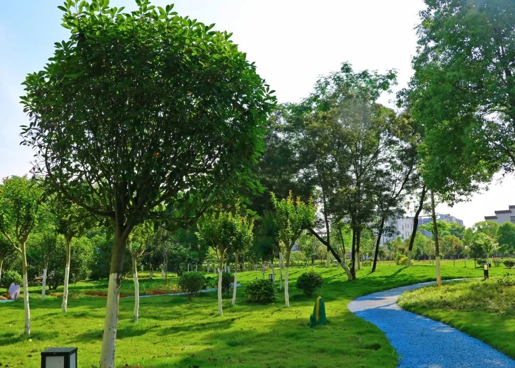 1652083111128040.jpg 9.jpg