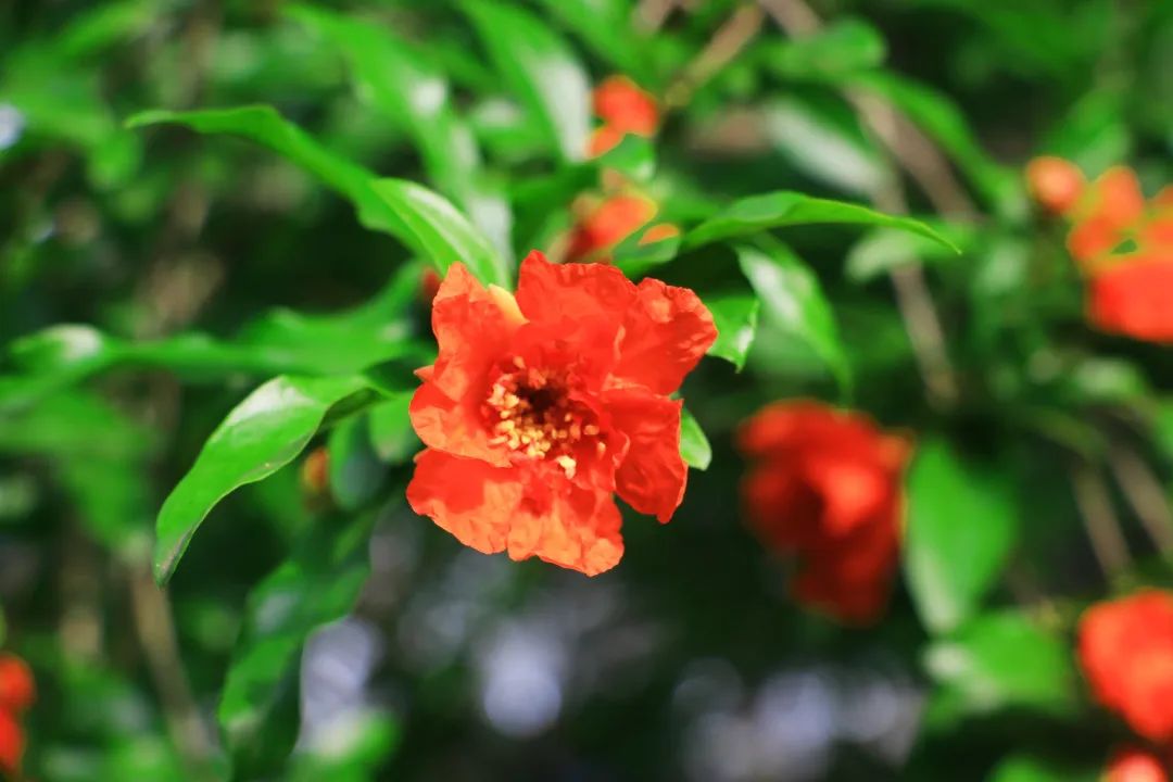 1652084335116946.jpg 12.jpg