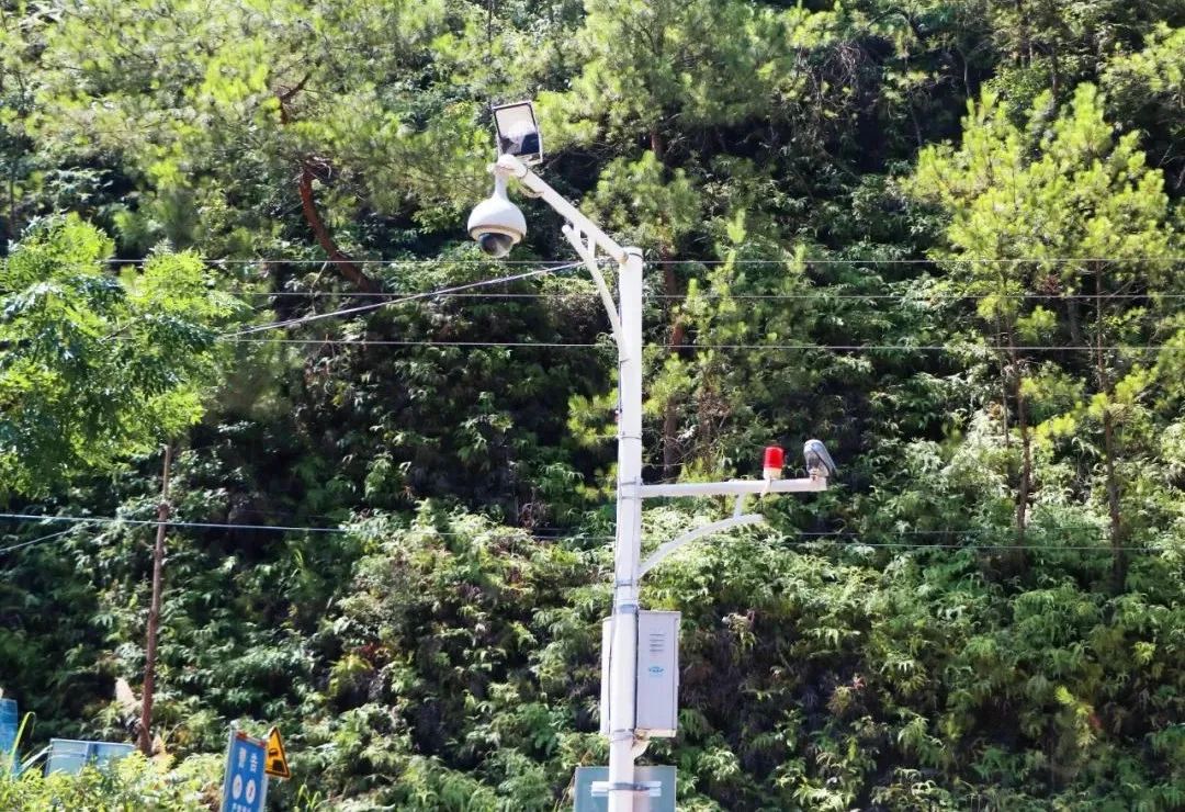 1659001541176091.jpg 2.jpg